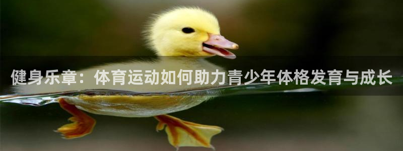九球体育直播官网