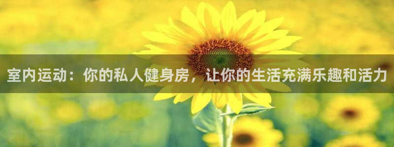九球体育苹果版下载：室内运动：你的私人健身房，让你的生活充满乐趣和活力