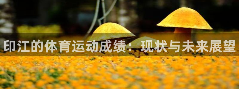 关键词
