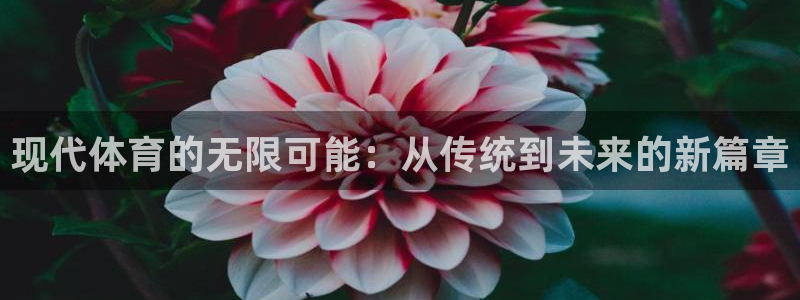 九球体育直播免费观看