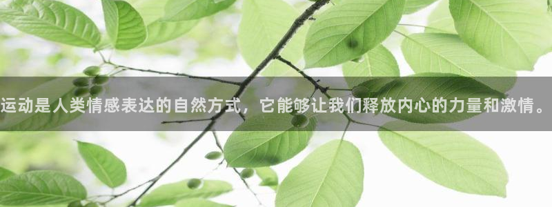九球体育录像在线观看：运动是人类情感表达的自然方式，它能够让我们释放内心的力量和激情。
