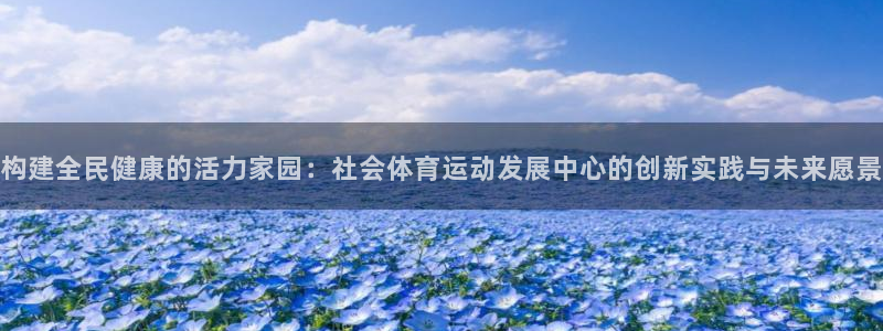关键词：构建全民健康的活力家园：社会体育运动发展中心的创新实践与未来愿景