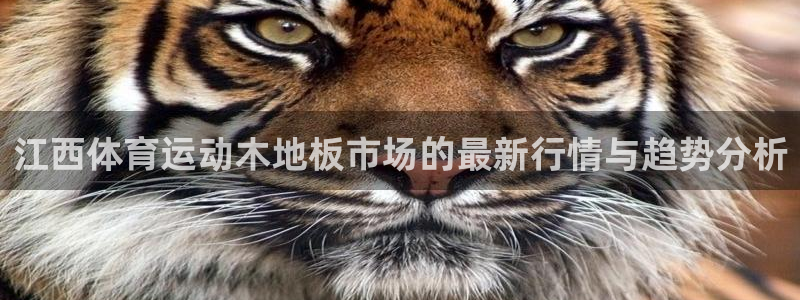 九球体育赛事直播：江西体育运动木地板市场的最新行情与趋势分析