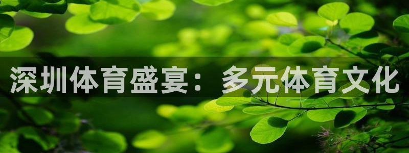 九球体育nba小仙儿：深圳体育盛宴：多元体育文化