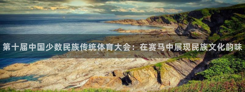 九球体育app下载苹果版：第十届中国少数民族传统体育大会：在赛马中展现民族文化韵味